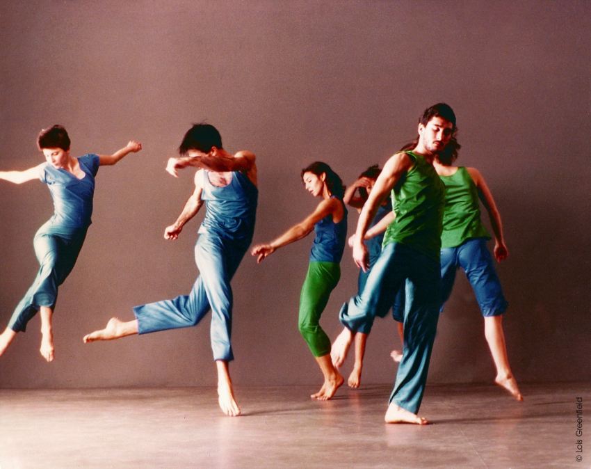 Trisha Brown: In Plain Site