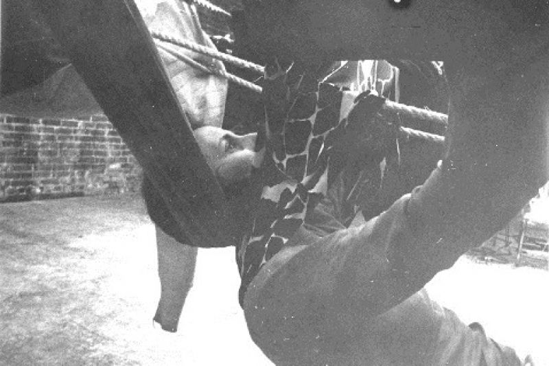 Rummage Sale and the Floor of the Forest (1971)