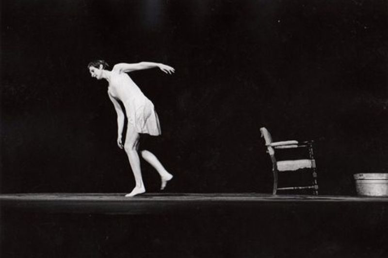 Skunk Cabbage, Salt Grass, and Waders (1967)